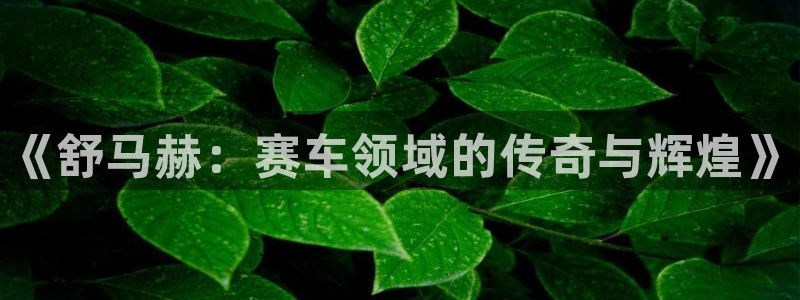 MK体育官方正版app集团官网首页:《舒马赫:赛车领域的传奇