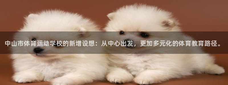 MK体育官网下载平台是正规平台吗:中山市体育运动学校的新增设