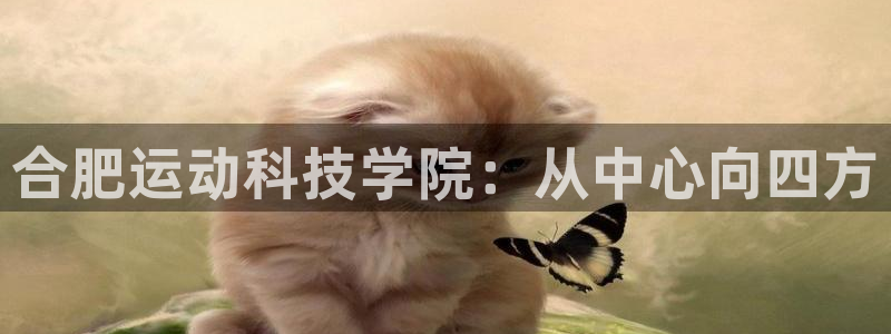 MK体育官网下载招商电话:合肥运动科技学院:从中心向四方