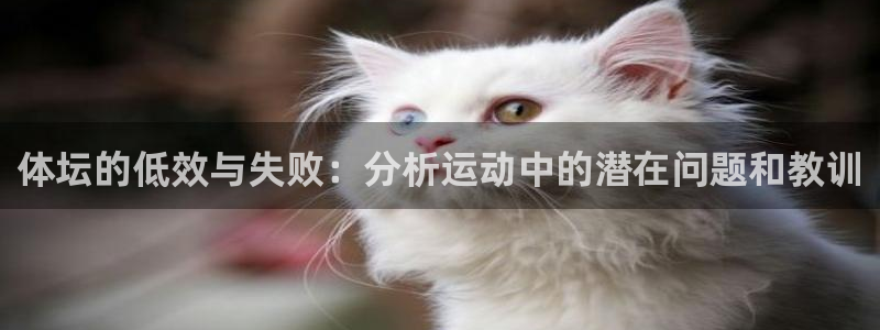 MK体育官方正版app集团简介:体坛的低效与失败:分析运动中